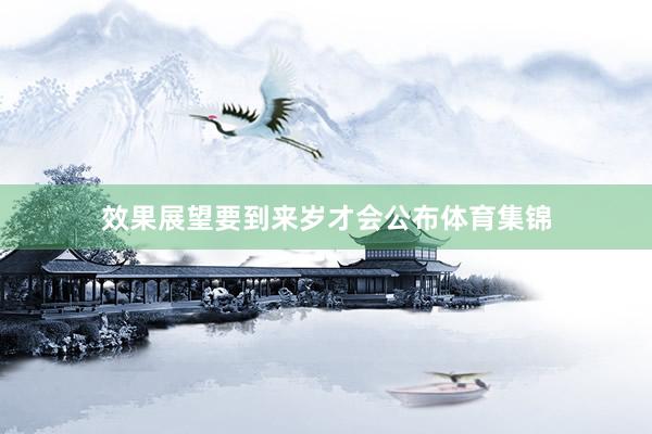 效果展望要到来岁才会公布体育集锦