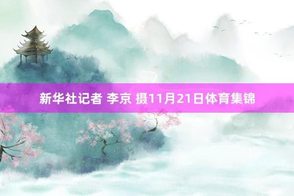 新华社记者 李京 摄11月21日体育集锦