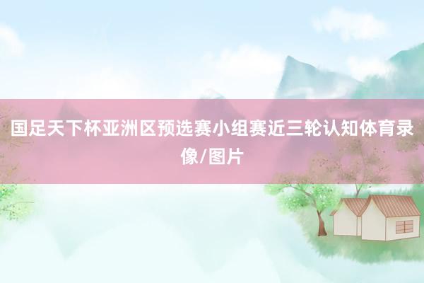 国足天下杯亚洲区预选赛小组赛近三轮认知体育录像/图片