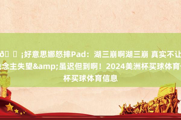 😡好意思娜怒摔Pad：湖三崩啊湖三崩 真实不让东说念主失望&虽迟但到啊！2024美洲杯买球体育信息