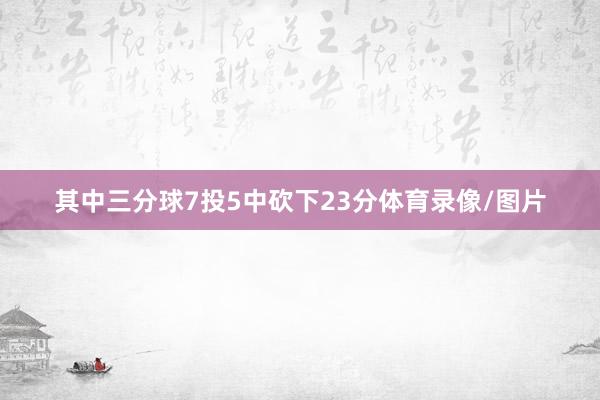 其中三分球7投5中砍下23分体育录像/图片