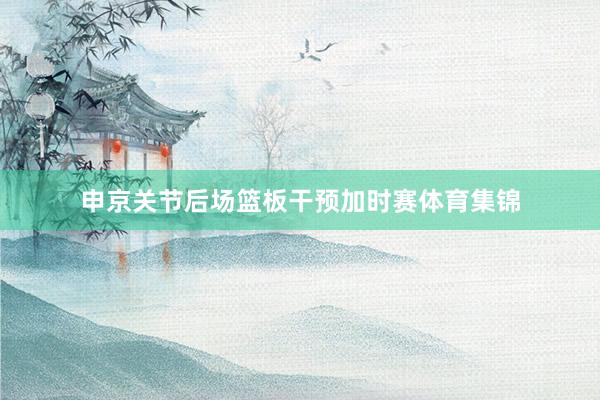 申京关节后场篮板干预加时赛体育集锦