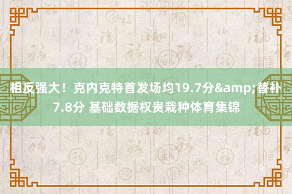 相反强大！克内克特首发场均19.7分&替补7.8分 基础数据权贵栽种体育集锦