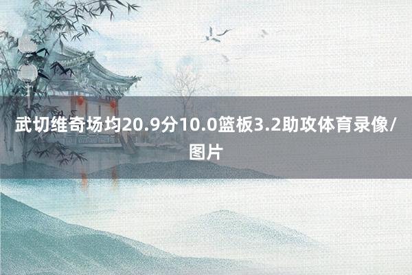 武切维奇场均20.9分10.0篮板3.2助攻体育录像/图片