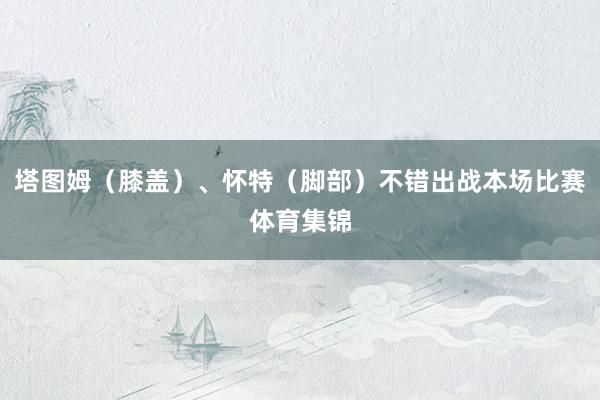 塔图姆（膝盖）、怀特（脚部）不错出战本场比赛体育集锦
