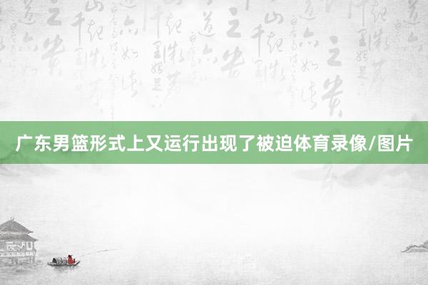 广东男篮形式上又运行出现了被迫体育录像/图片