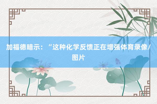 加福德暗示：“这种化学反馈正在增强体育录像/图片