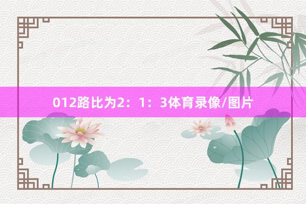 012路比为2：1：3体育录像/图片