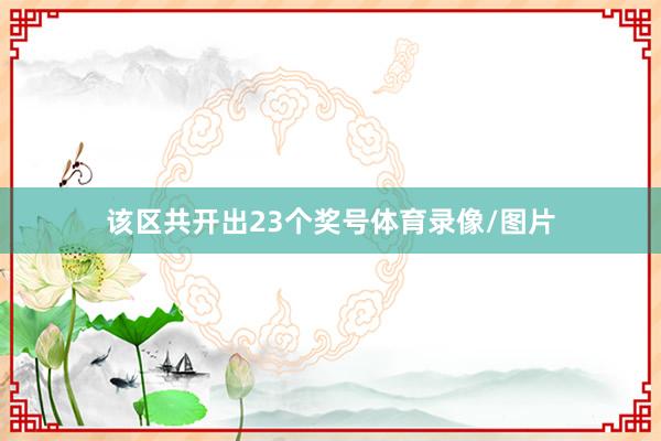 该区共开出23个奖号体育录像/图片