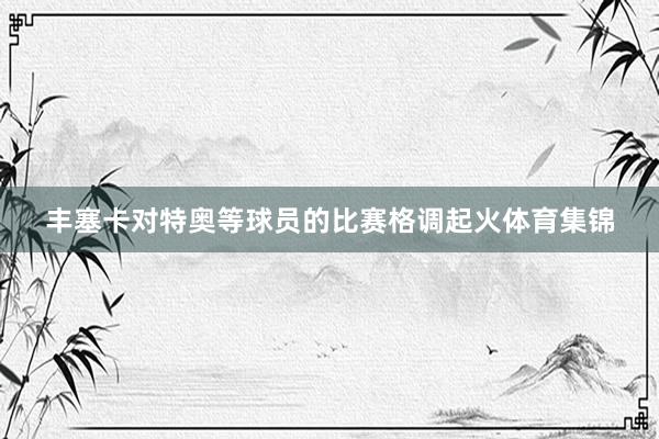 丰塞卡对特奥等球员的比赛格调起火体育集锦
