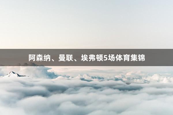 阿森纳、曼联、埃弗顿5场体育集锦