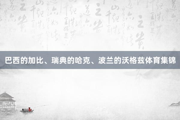 巴西的加比、瑞典的哈克、波兰的沃格兹体育集锦