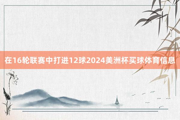 在16轮联赛中打进12球2024美洲杯买球体育信息