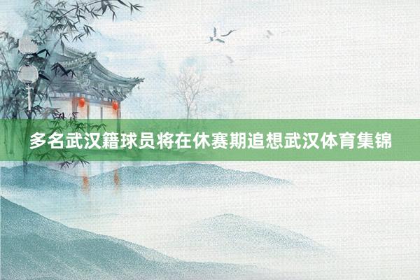 多名武汉籍球员将在休赛期追想武汉体育集锦