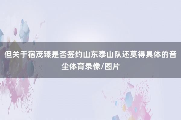 但关于宿茂臻是否签约山东泰山队还莫得具体的音尘体育录像/图片
