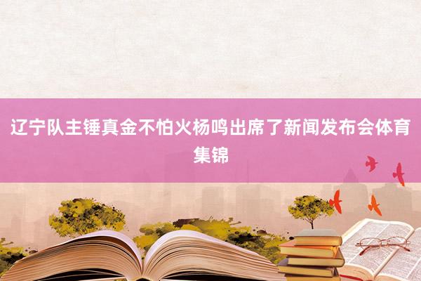 辽宁队主锤真金不怕火杨鸣出席了新闻发布会体育集锦