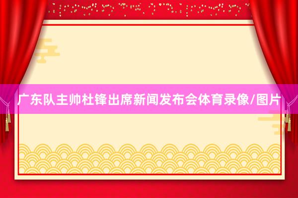 广东队主帅杜锋出席新闻发布会体育录像/图片