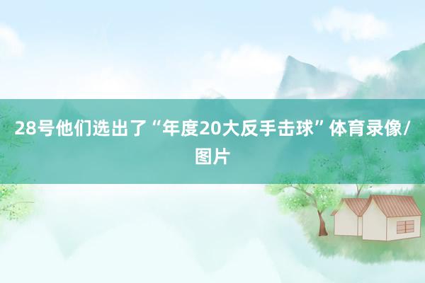28号他们选出了“年度20大反手击球”体育录像/图片