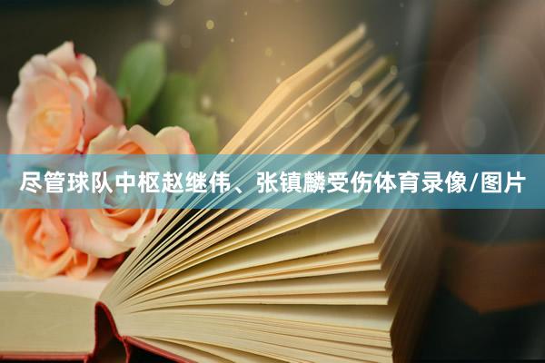 尽管球队中枢赵继伟、张镇麟受伤体育录像/图片