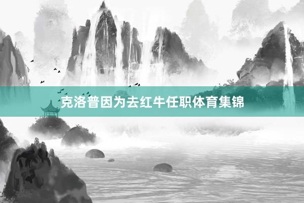 克洛普因为去红牛任职体育集锦