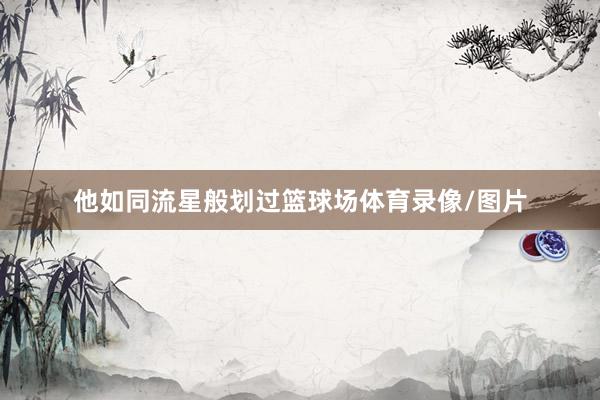 他如同流星般划过篮球场体育录像/图片