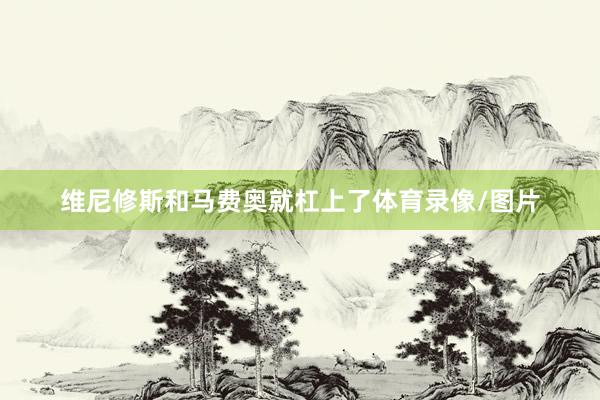 维尼修斯和马费奥就杠上了体育录像/图片