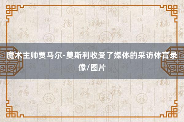 魔术主帅贾马尔-莫斯利收受了媒体的采访体育录像/图片