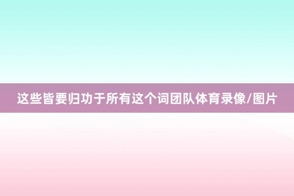 这些皆要归功于所有这个词团队体育录像/图片