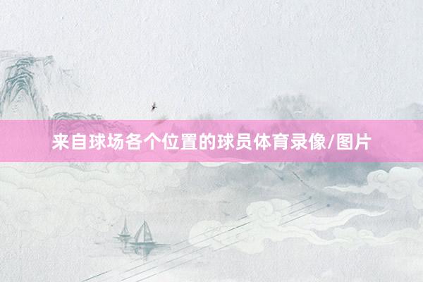 来自球场各个位置的球员体育录像/图片
