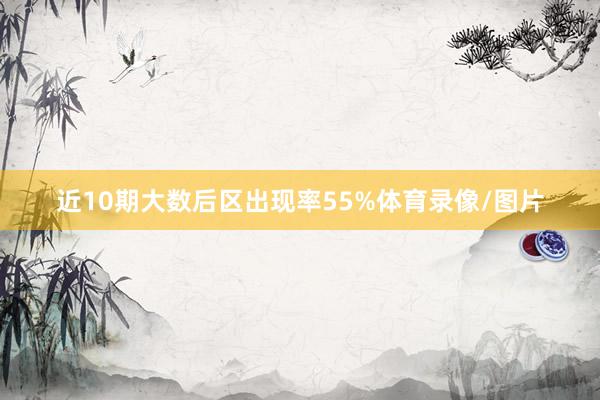 近10期大数后区出现率55%体育录像/图片