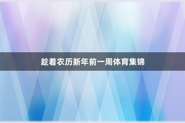 趁着农历新年前一周体育集锦