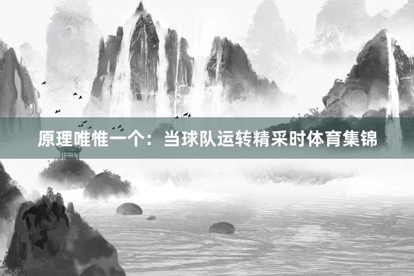 原理唯惟一个：当球队运转精采时体育集锦