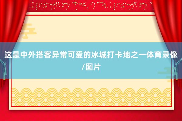 这是中外搭客异常可爱的冰城打卡地之一体育录像/图片