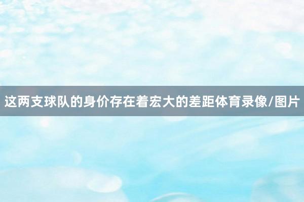 这两支球队的身价存在着宏大的差距体育录像/图片