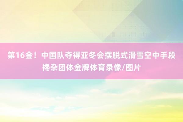 第16金！中国队夺得亚冬会摆脱式滑雪空中手段搀杂团体金牌体育录像/图片