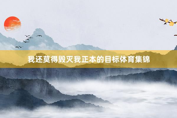 我还莫得毁灭我正本的目标体育集锦