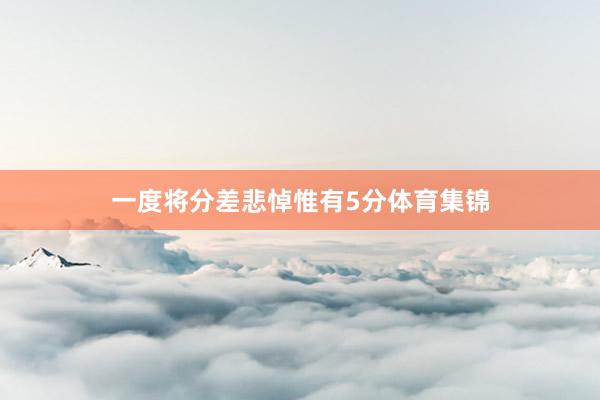 一度将分差悲悼惟有5分体育集锦