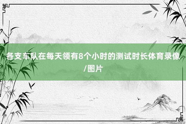 各支车队在每天领有8个小时的测试时长体育录像/图片