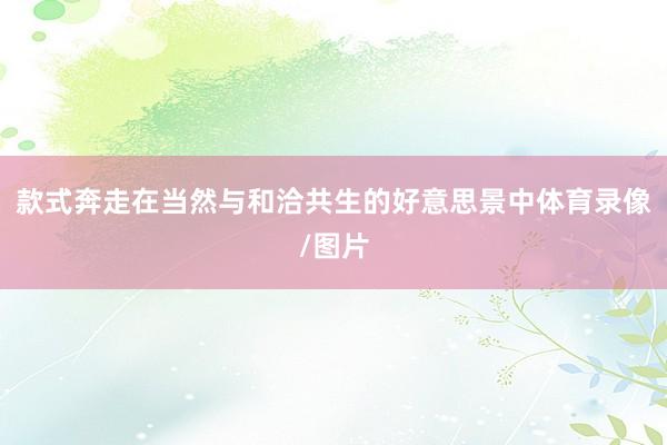 款式奔走在当然与和洽共生的好意思景中体育录像/图片