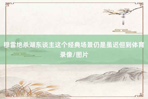 穆雷绝杀湖东谈主这个经典场景仍是虽迟但到体育录像/图片