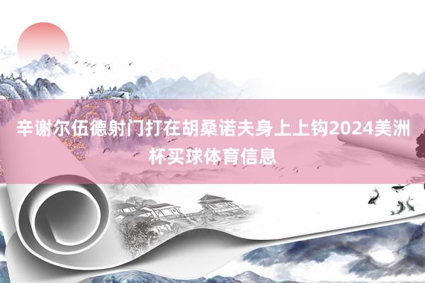 辛谢尔伍德射门打在胡桑诺夫身上上钩2024美洲杯买球体育信息