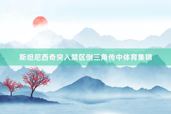 斯坦尼西奇突入禁区倒三角传中体育集锦