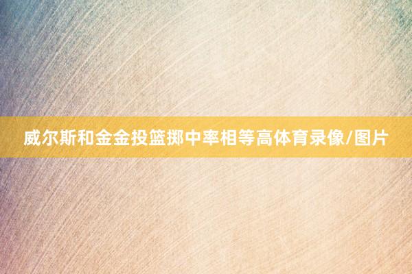 威尔斯和金金投篮掷中率相等高体育录像/图片