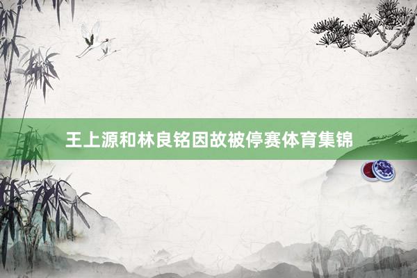 王上源和林良铭因故被停赛体育集锦