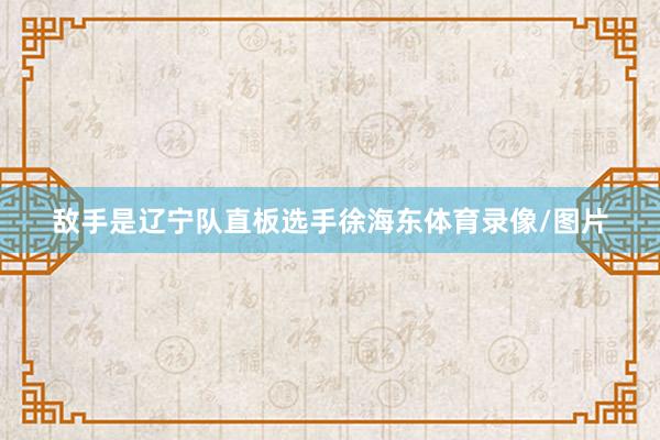 敌手是辽宁队直板选手徐海东体育录像/图片