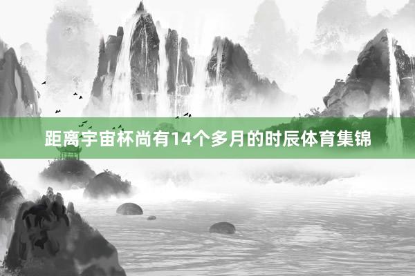 距离宇宙杯尚有14个多月的时辰体育集锦
