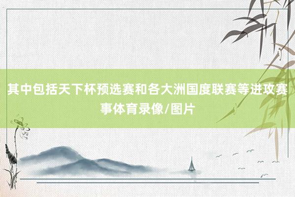 其中包括天下杯预选赛和各大洲国度联赛等进攻赛事体育录像/图片