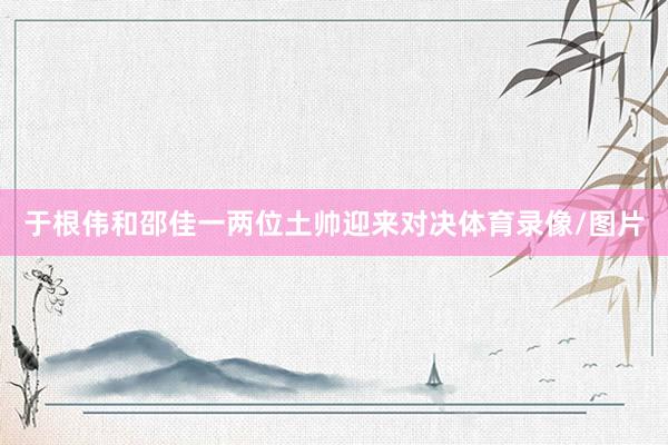 于根伟和邵佳一两位土帅迎来对决体育录像/图片