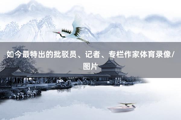 如今最特出的批驳员、记者、专栏作家体育录像/图片