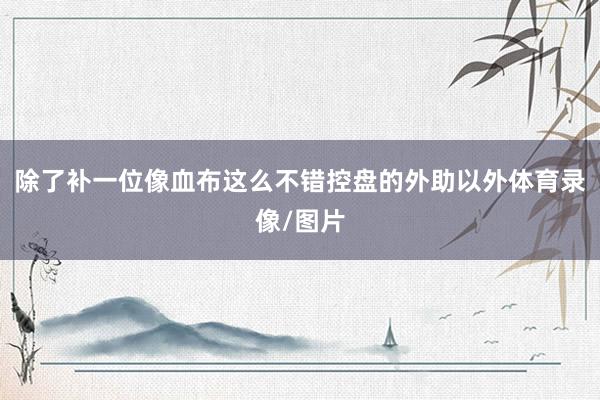 除了补一位像血布这么不错控盘的外助以外体育录像/图片